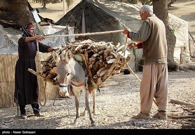 ۲۵۰۰ خانوار عشایر امسال وارد استان همدان می‌شوند