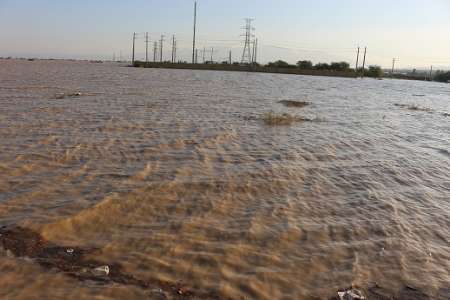 میزان خسارت بارش‌های اخیر در دیر بوشهر 380 میلیارد ریال برآورد شد