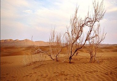 کمبود اعتبار مشکل اصلی در پیشگیری از بیابانزایی استان سمنان است