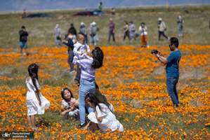 منتخب تصاویر امروز جهان - 14 فروردین 1401