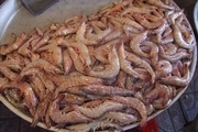 آیا غذاهای دریایی سرطان زا هستند؟ 