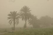 120 روستای ریگان در محاصره گرد و غبار قرار دارد