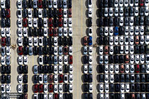 منتخب تصاویر امروز جهان