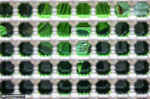 تجدید میثاق رئیس قوه قضاییه و مسئولان عالی قضایی با آرمان‌های حضرت امام (س)