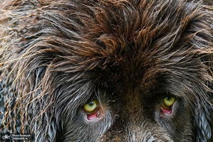 منتخب تصاویر امروز جهان - 2 خرداد 1401