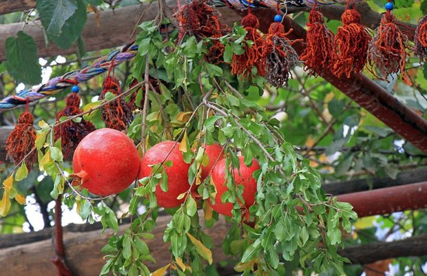 جشنواره انار در روستای دورک اناری شهرستان کیار برگزار شد