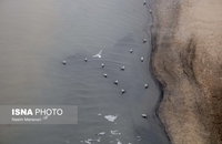 آلودگی هوای اهواز (16)