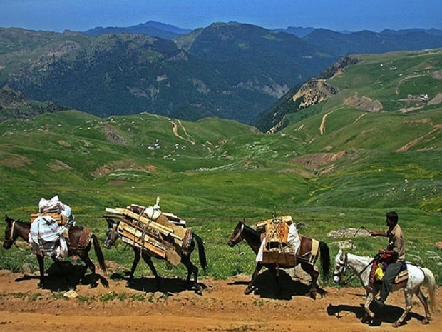 کوچ بهاره عشایر در تالش آغاز شد