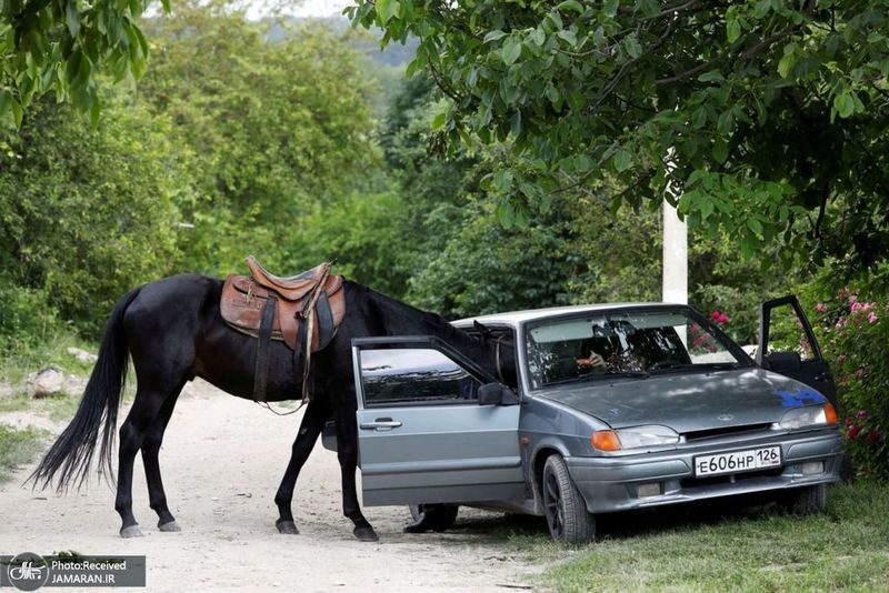 منتخب تصاویر امروز جهان- 4 تیر 1400