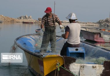 رئیس شیلات آستارا: سهمیه سوخت قایق‌های صیادان پیگیری می‌شود