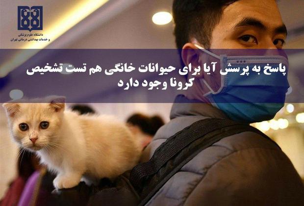 آیا برای حیوانات خانگی هم تست کرونا هست؟