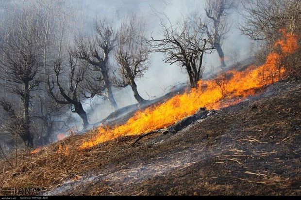 وقوع ۶۰ مورد آتش‌سوزی در جنگل‌ها و مراتع آذربایجان‌شرقی