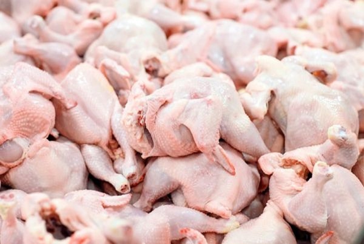هشدار مهم در مورد گوشت مرغ/ علوم پزشکی: به خوبی گوشت را بپزید