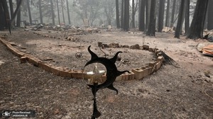 منتخب تصاویر امروز جهان- 5 مرداد 1400