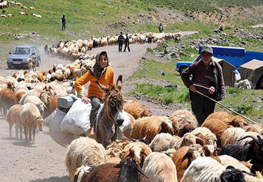 خطر کوچ کرونا با عشایر