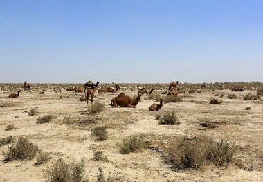 جازموریان را به سرنوشت غمبار هامون دچار نکنیم