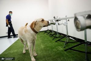 منتخب تصاویر امروز جهان- 31 اردیبهشت 1400