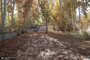 طبیعت پاییزی روستای اَوِل قم