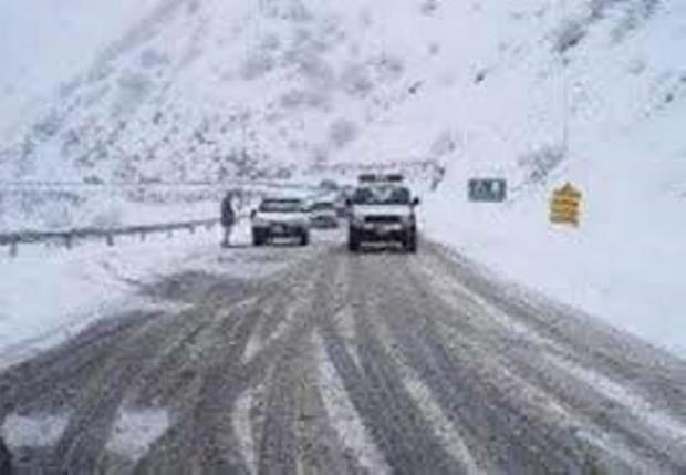 ریزش برف در جاده چالوس   راههای البرز باز است