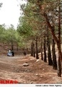 پیداشدن جسد جوان 20 ساله در پارک جنگلی یاسوج