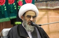 پرتره آیت الله فاضل لنکرانی در حاج سید حسن قم (3)