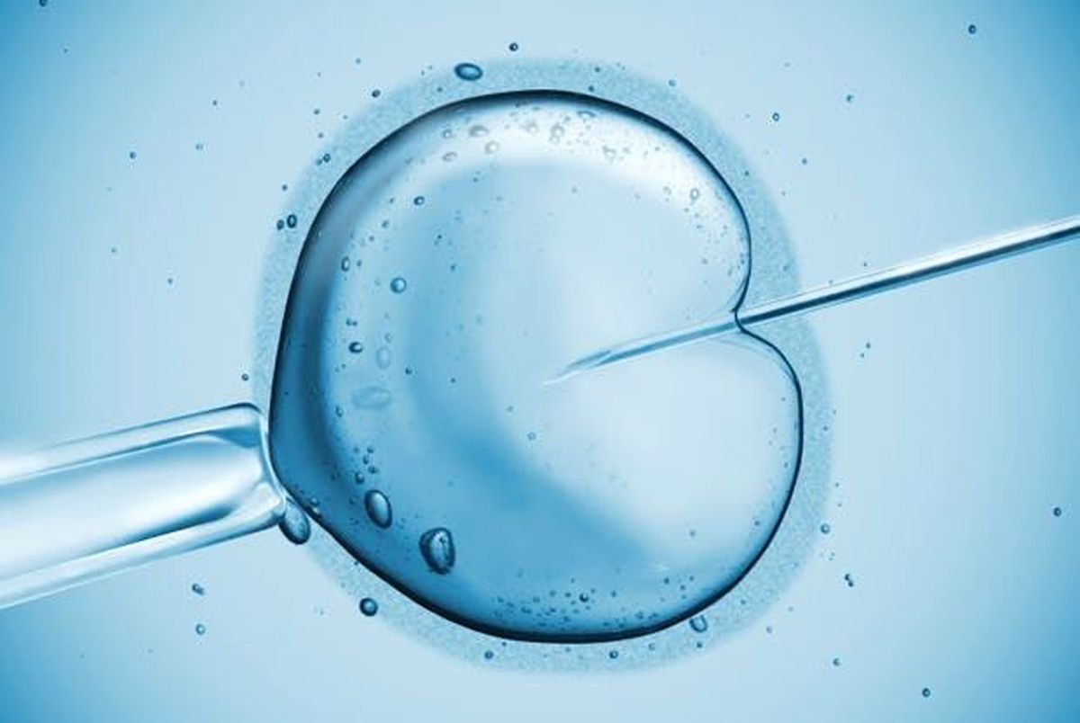 چگونگی شیوع بیماری ها و ناهنجاری های ژنتیکی در نوزادان IVF
