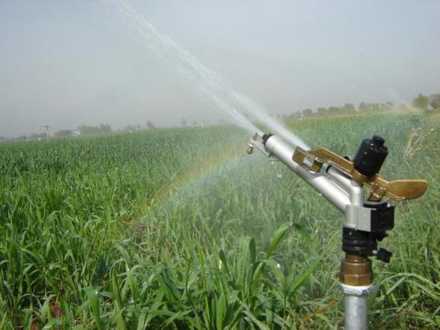 40 درصد محصولات کشاورزی گرمسار با سامانه نوین آبیاری تولید می شود