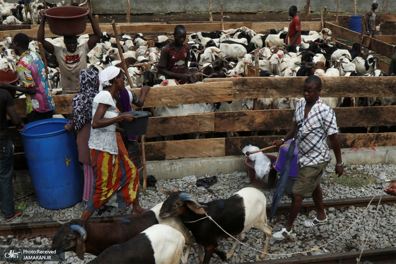 منتخب تصاویر امروز جهان- 24 تیر 1400