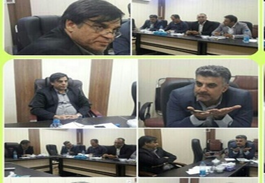 ۲۵ درصد جنگلهای لرستان به بیماری زوال بلوط مبتلا هستند