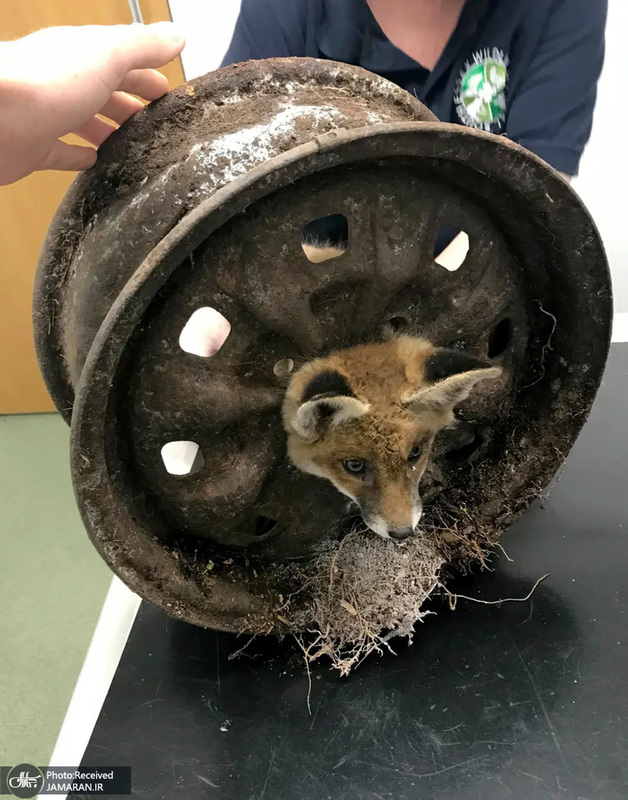 منتخب تصاویر امروز جهان - 27 اردیبهشت 1401