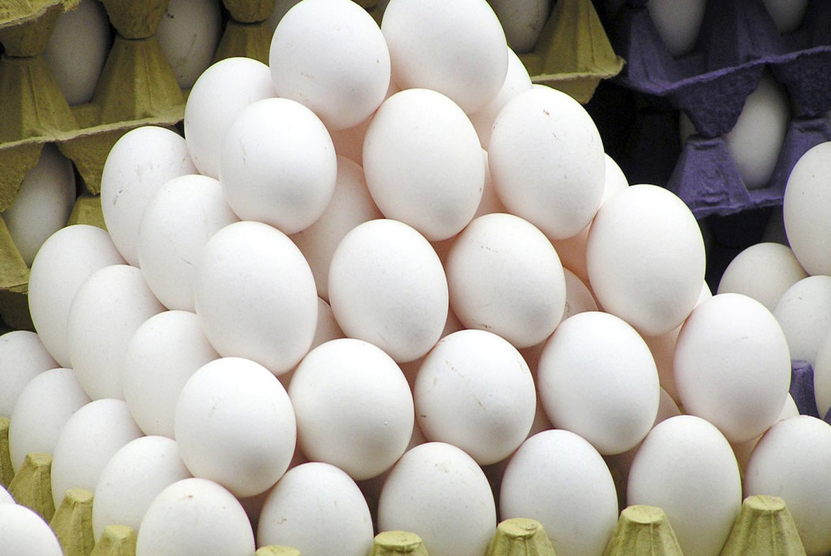 تخم‌مرغ شانه‌ای ۱۰ هزار تومان در تهران ارزان شد