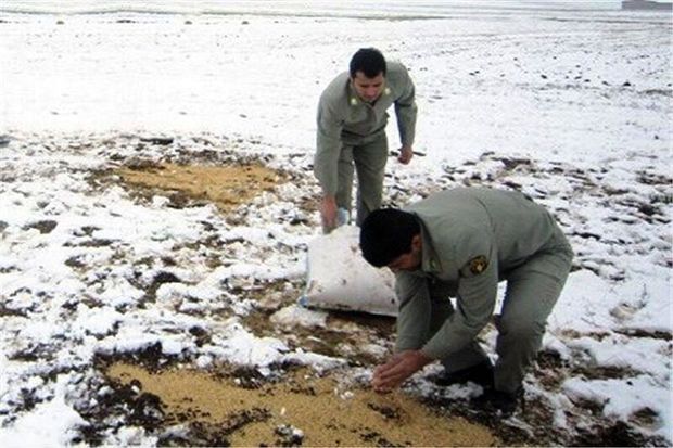 رنگ سپید مهربانی بر برف مارگون نقش بست