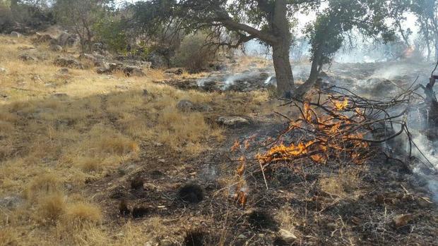 بیش از پنج هکتار از مناطق جنگلی و مرتعی گیلانغرب در آتش سوخت