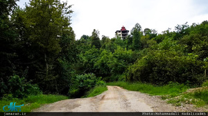 روستای سلیم آباد تنکابن؛ اینجا همه چیز سبز است