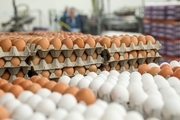 افزون بر 2000 تن تخم مرغ در جنوب کرمان تولید شد