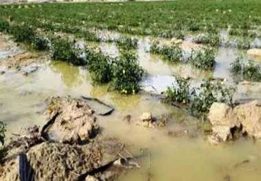 خسارت بارندگی شب گذشته در شهرستان فاروج در دست بررسی است