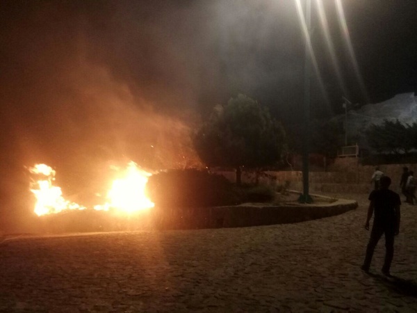 آتش‌سوزی در پارک کوهستان یزد  خاکستر شدن 500 مترمربع از درختان منطقه