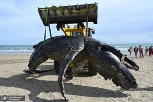 منتخب تصاویر امروز جهان- 6 خرداد 1400