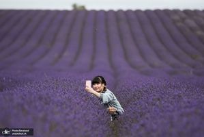 منتخب تصاویر امروز جهان- 15 مرداد