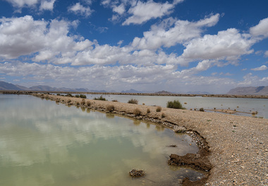 آبگیری بندهای آبخیزداری، شهرضا را از خطر سیل نجات داد