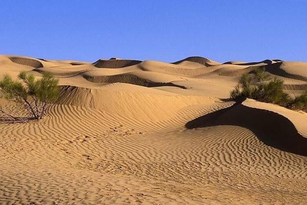 جشنواره سراسری کویرگردی در سیازگه آران‌وبیدگل برگزار می‌شود