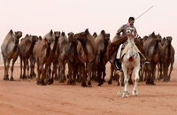 ملکه های زیبایی عربستان