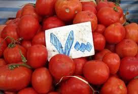 صادرات عامل اصلی گرانی گوجه فرنگی است