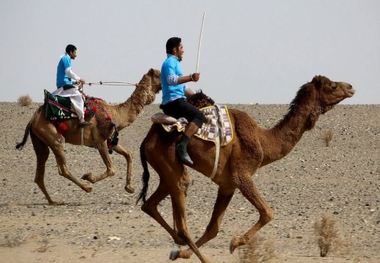 مسابقات شترسواری قهرمانی کشور در ورزنه اصفهان برگزار می شود