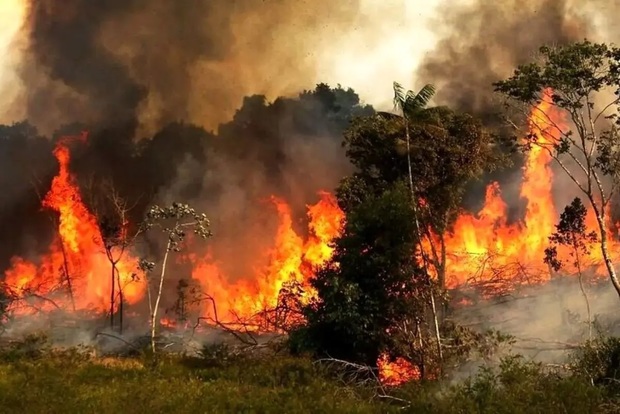 ادامه آتش سوزی در جنگلهای هیرکانی پس از ۲۰ روز؛ اعزام 5 بالگرد و یک فروند هواپیمای ایلیوشین/ مدیرکل بحران گیلان: عدم بارش، افزایش دما و وزش باد گرم احتمال گسترش آتش‌سوزی را افزایش می‌دهد/ معاون اجرایی پزشکیان: درخواست کمک سریع از کشورهای دوست کردیم