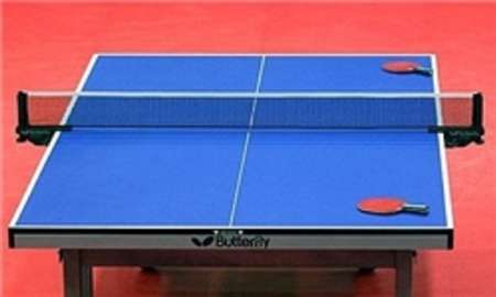 نفرات برتر مسابقات تنیس روی میز جوانان استان بوشهر معرفی شدند