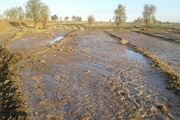 سیلاب برخی از مزارع کشاورزی شهرستان کوهرنگ را تخریب کرد