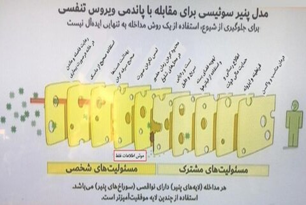 مدل پنیر سوئیسی برای مقابله با کرونا+ عکس
