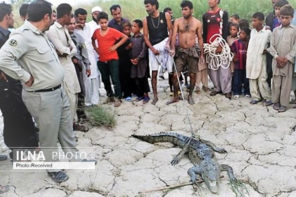 مشکل بی‌آبی عامل بروز حادثه برای دختر 10 ساله سیستانی  &quot;حوا&quot; اولین قربانی نبود  محافظی برای گاندوها وجود ندارد