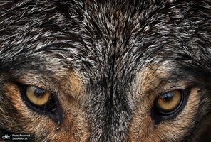 منتخب تصاویر امروز جهان - 13 فروردین 1402